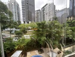 Mount Elizabeth Link (D9), Condominium #466086601